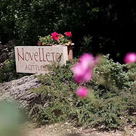 Farm stay Novelleto *