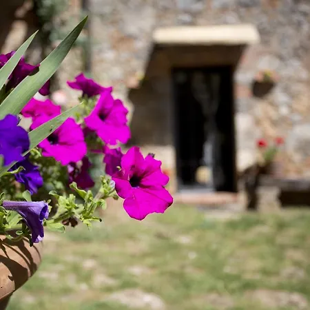 Novelleto * Monteriggioni