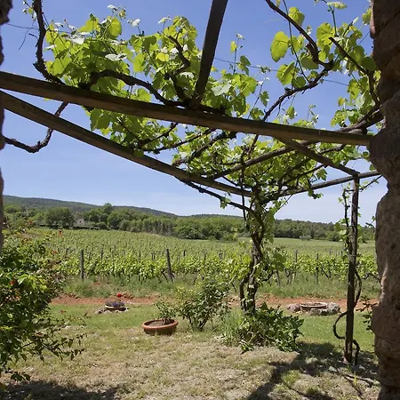 Novelleto Farm stay Monteriggioni
