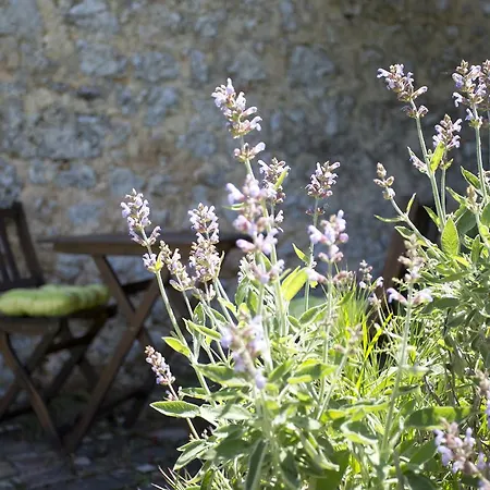 Novelleto Farm stay