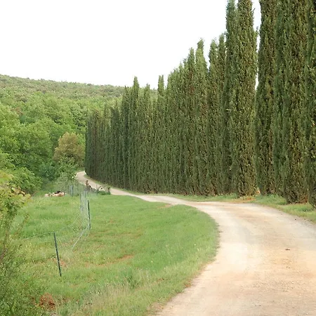 Feriegård Novelleto Monteriggioni